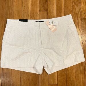 BANANA REPUBLIC Hampton Fit White Shorts size 12 Petite 3” inseam 100% Cotton